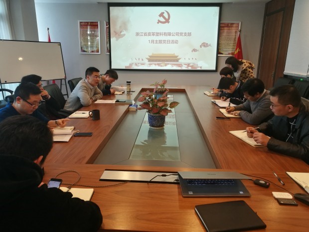 皮塑公司召開(kāi)學(xué)習(xí)集團(tuán)黨代會(huì)精神主題黨日活動(dòng)